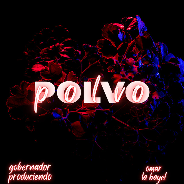 Polvo