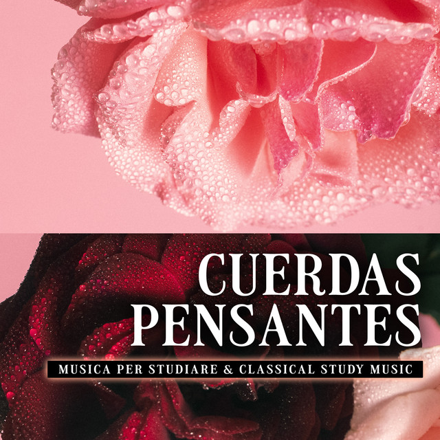 Musica per Studiare & Classical Study Music