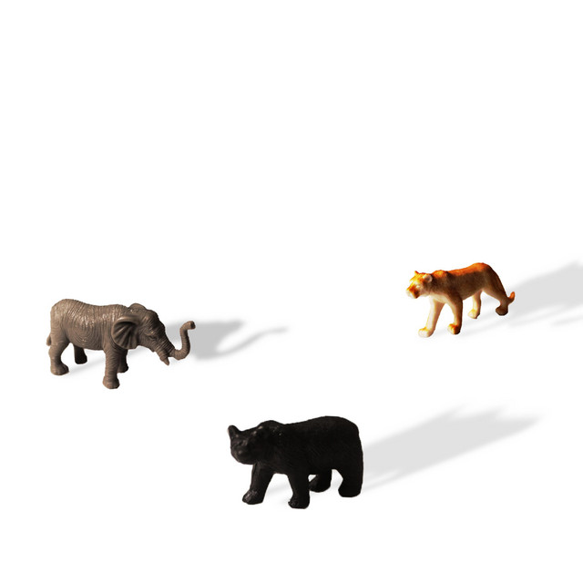 zoo cover art