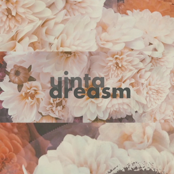 dreasm cover art