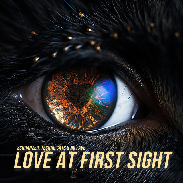 Love At First Sight - Schranz
