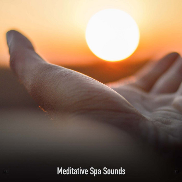 !!!!" Meditative Spa Sounds "!!!! cover art