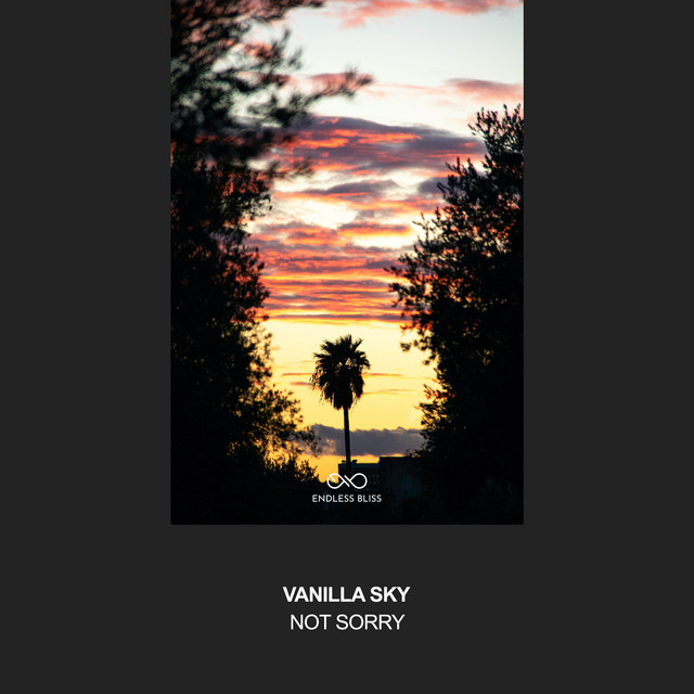 Not Sorry cover art