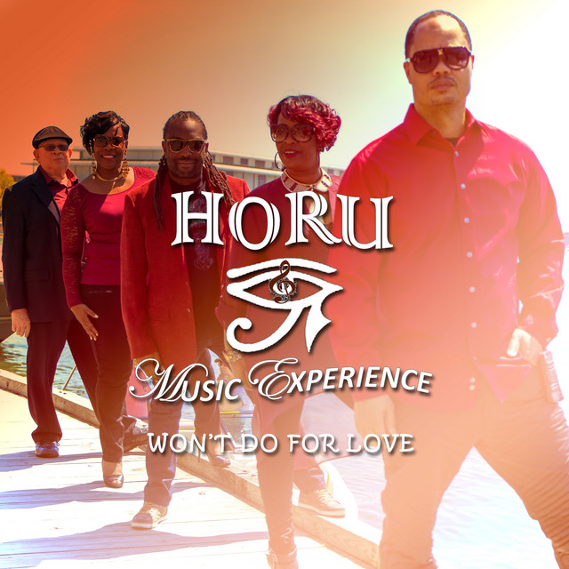 Won't Do for Love - Single by Horu Music Experience | Spotify