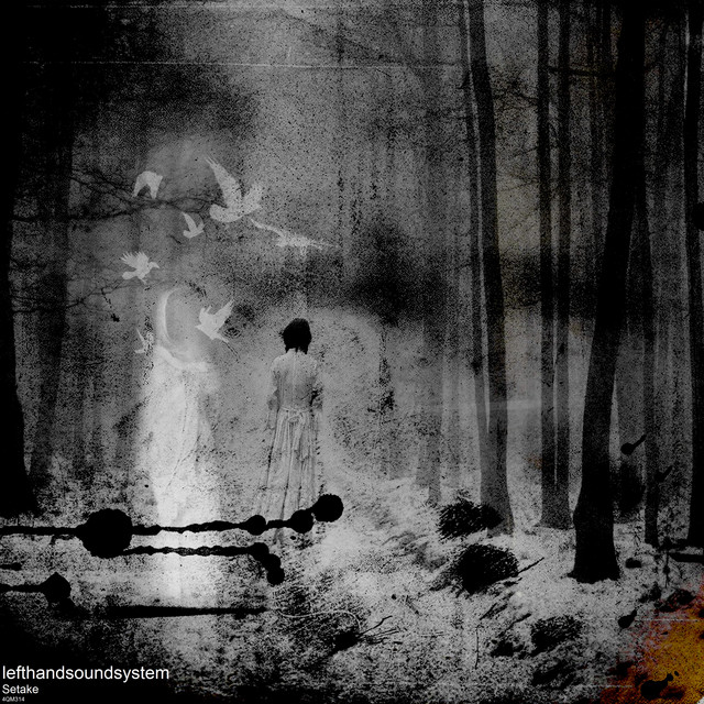 Setake cover art