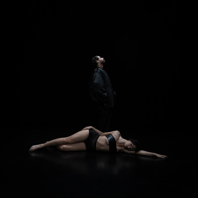 Body cover art