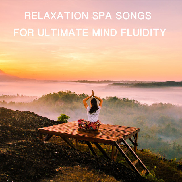 12 Relaxation Spa Songs for Ultimate Mind Fluidity cover art
