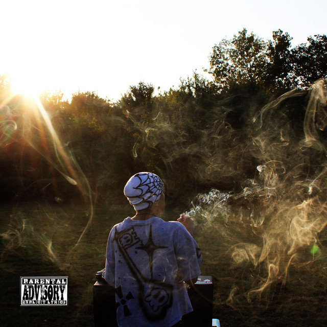 THE BR EFFECT cover art