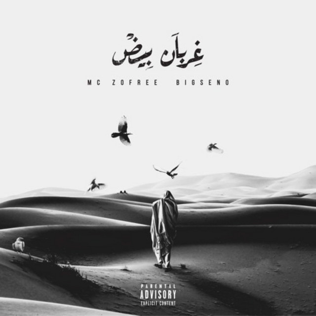 غربان بيض cover art