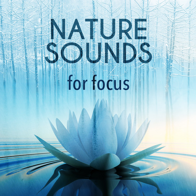 Nature Sounds for Focus cover art