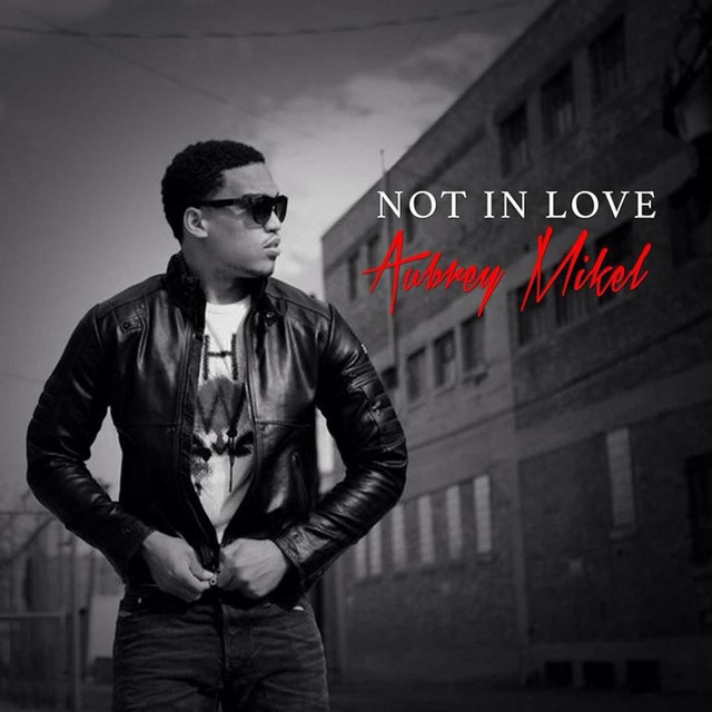Not in Love cover art