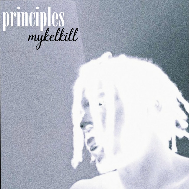 Principles cover art