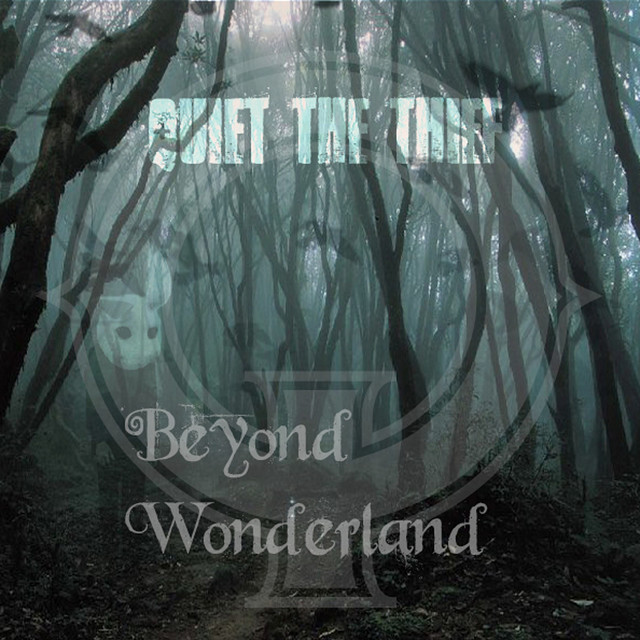 Beyond Wonderland cover