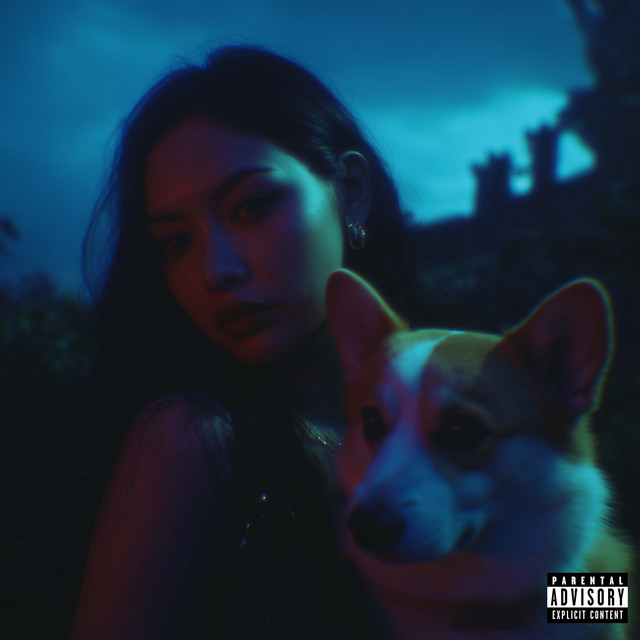undefined album image