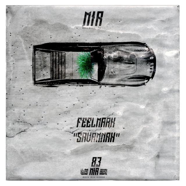 Обкладинка Feelmark — Savannah