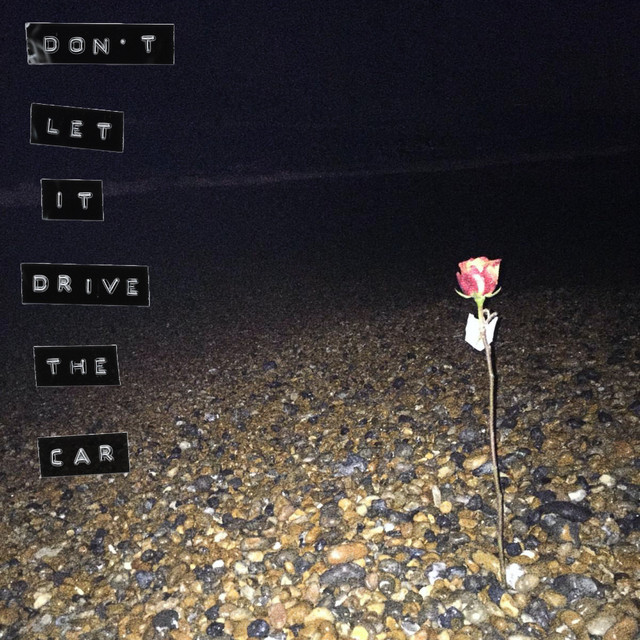 Don’t Let It Drive The Car cover art