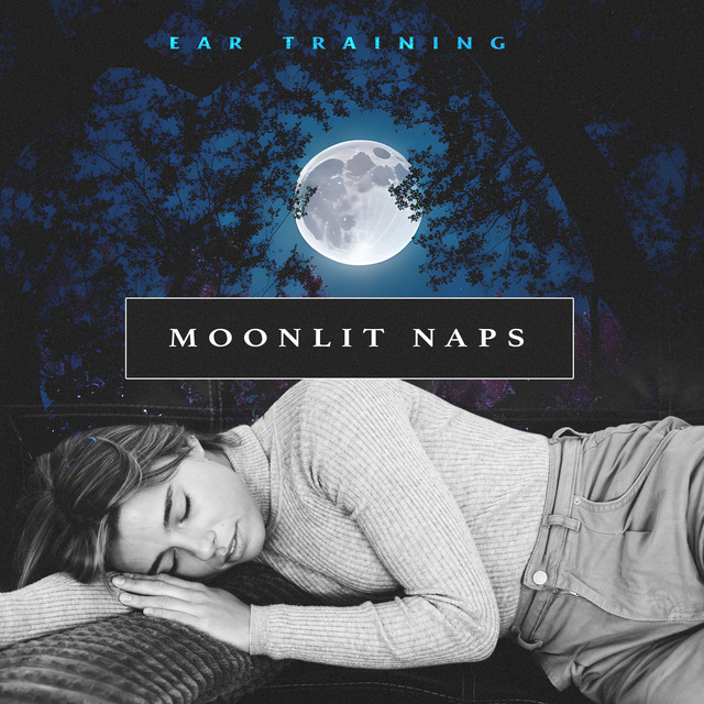 Moonlit Naps cover art