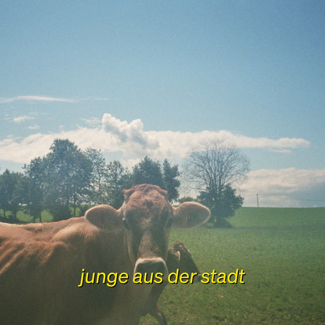 junge aus der stadt cover
