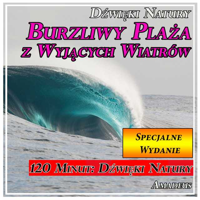 Burzliwy Plaża z Wyjących Wiatrów: Dźwięki Natury: Specjalne Wydanie cover art