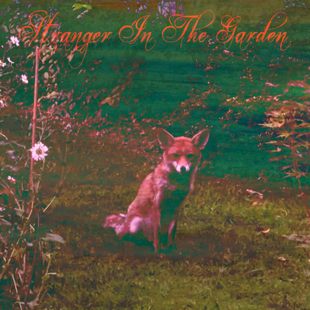 Stranger In The Garden