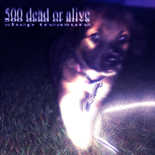 500 dead or alive cover art