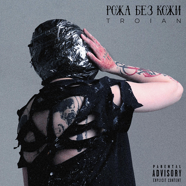 Рожа БЕЗ КОЖИ cover art