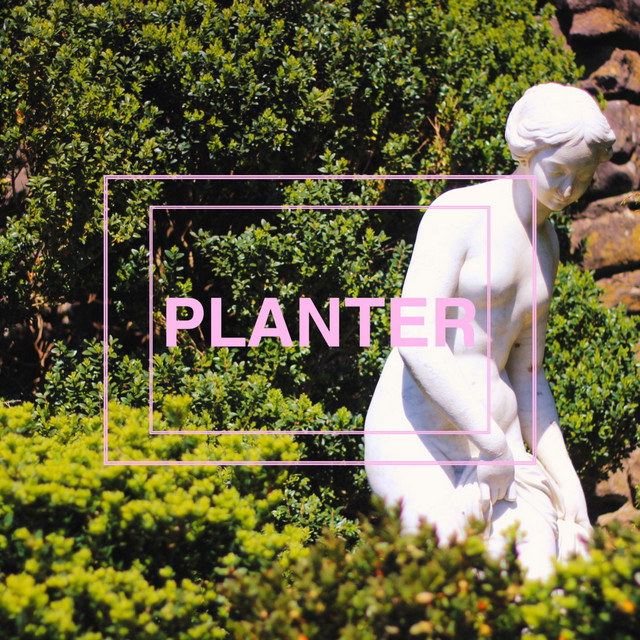 PLANTER cover art