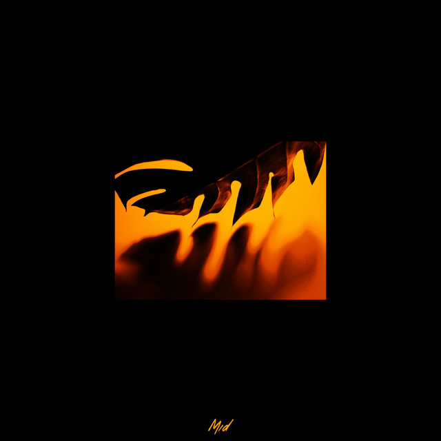 Monstera album art