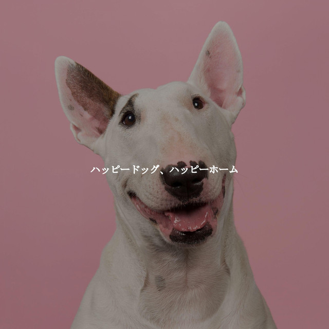 ハッピードッグ、ハッピーホーム cover art