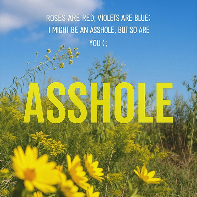 ASSHOLE