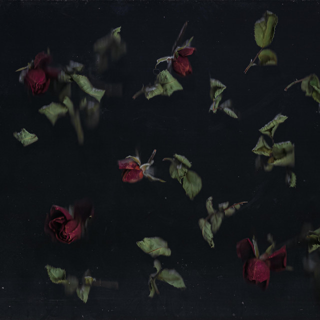 Enough For No One (single)