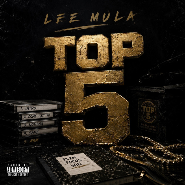 Intro cover art