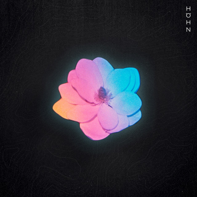 Höhn cover art
