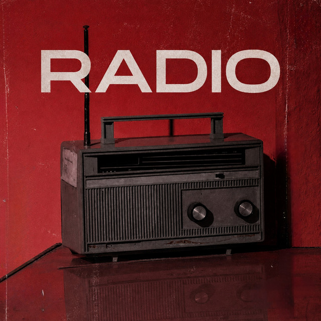 Radio cover