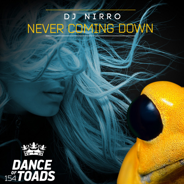Never Coming Down cover
