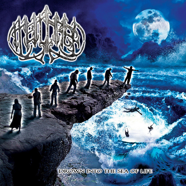 Drown into the Sea of Life cover art