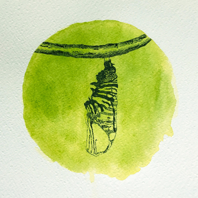 Lufra cover art