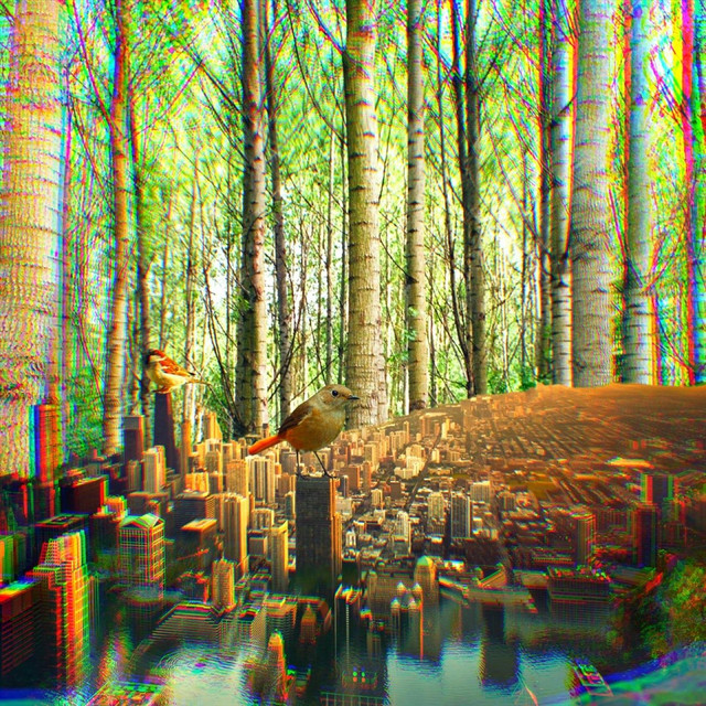 The Pond in the Forest cover art