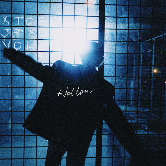 Hollow cover art