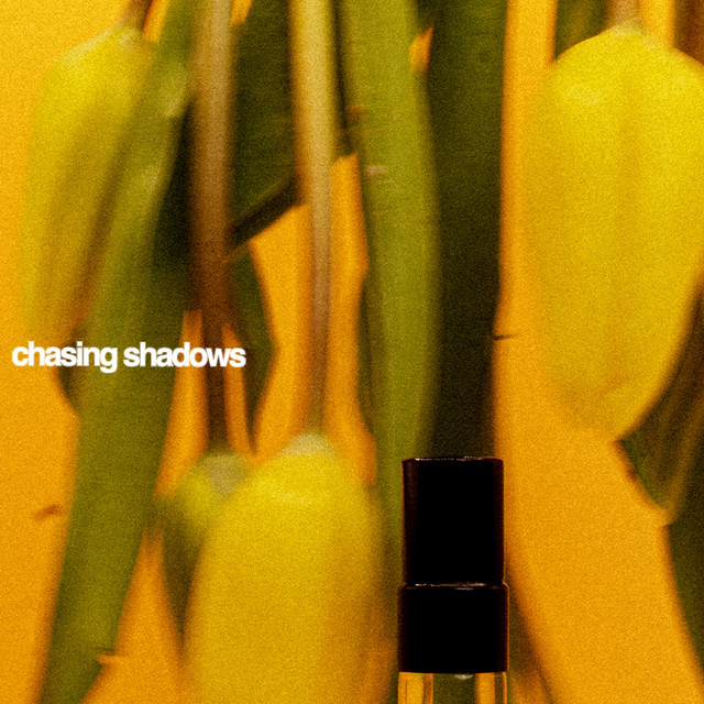 Chasing Shadows cover art