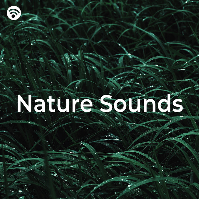 Nature Sounds