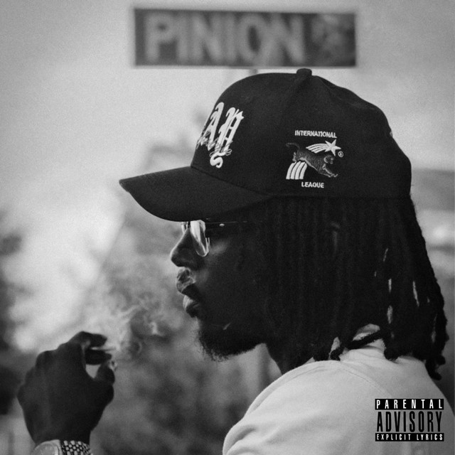 Vivid Visions cover art