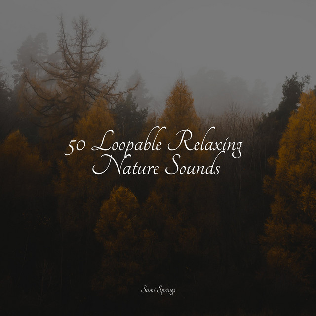 50 Loopable Relaxing Nature Sounds - Album by Deep Sleep Brown Noise ...