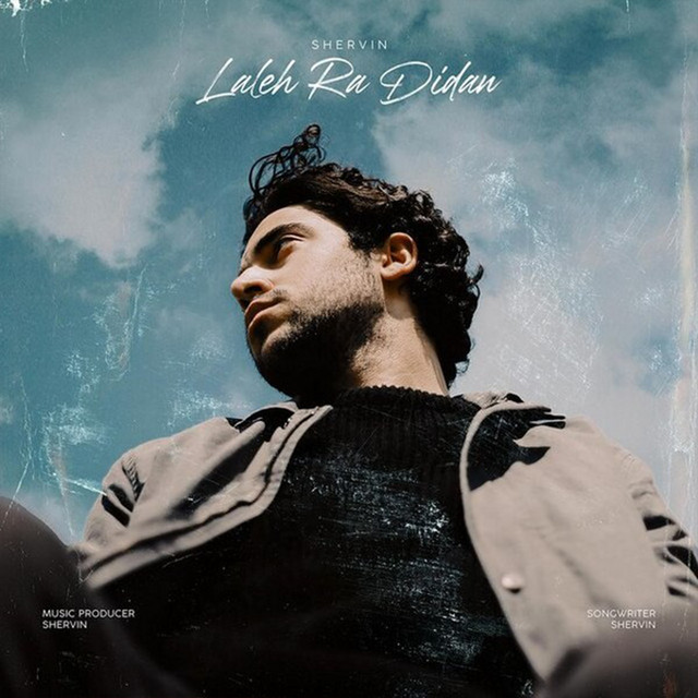 Laleh Ra Didan — Shervin Hajipour cover art