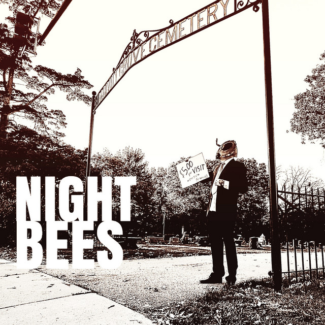 Night Bees cover art