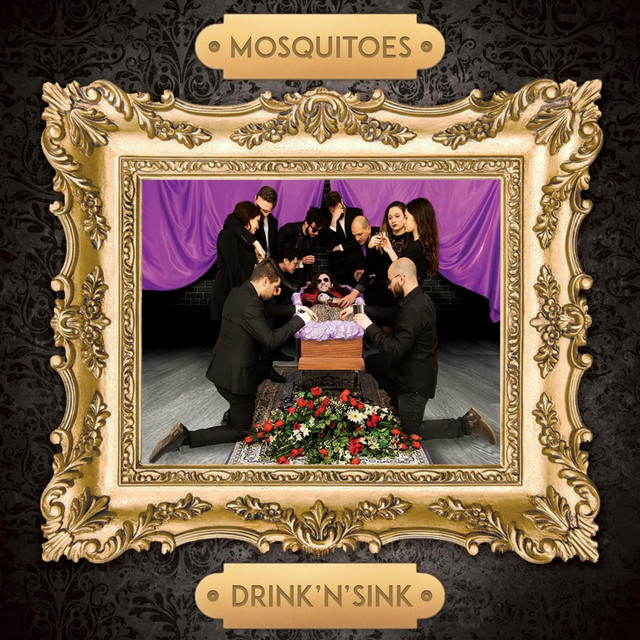 Drink 'N' Sink cover