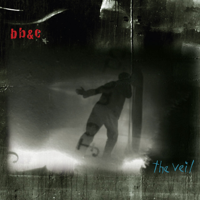 The Veil cover art