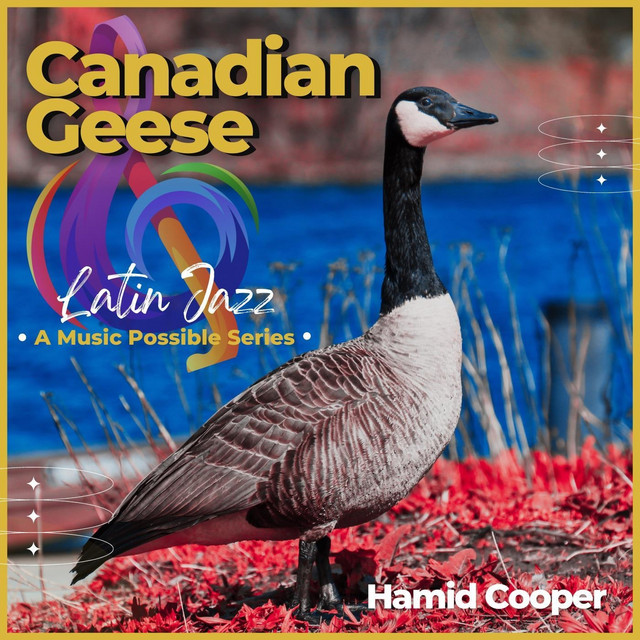 Canadian Geese - Single by Hamid Cooper | Spotify