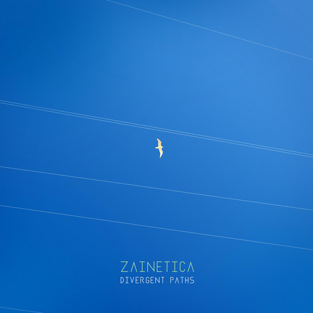 Divergent Paths cover art