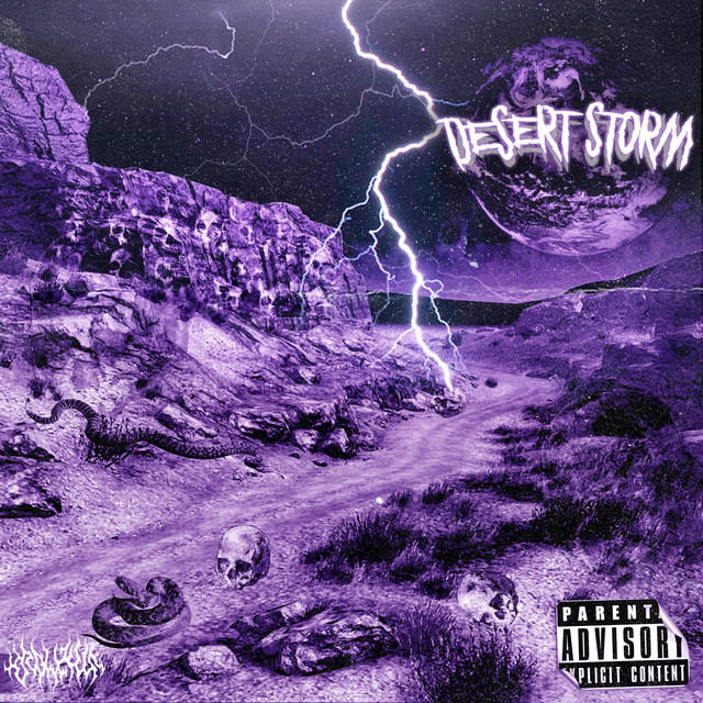 Desert Storm cover art
